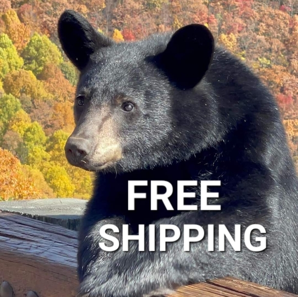 925 Sterling Silver Blue Evil Eye Crystal CZ Drop Pendant Necklace - Picture 5 of 5